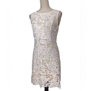 Ann Taylor Loft Floral Lace Sleeveless Dress Lined Women’s Size 6P